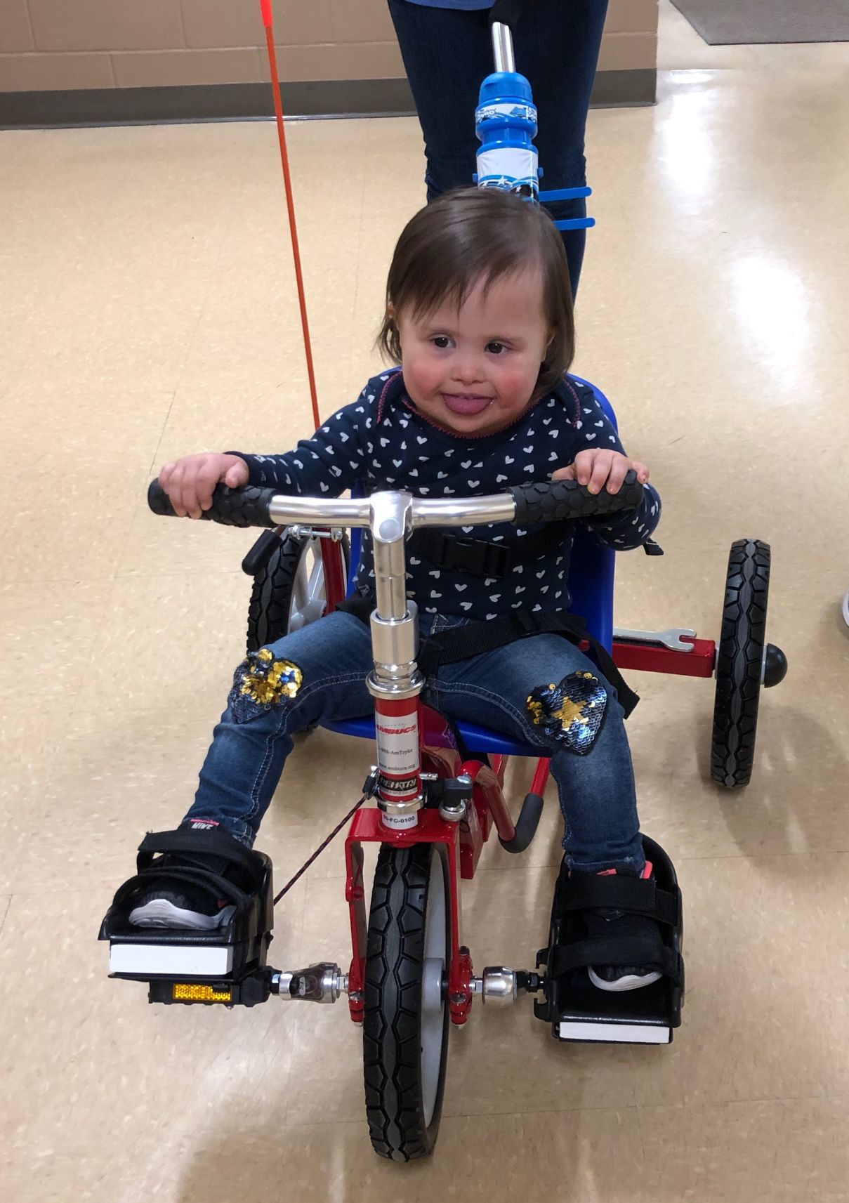 Rebel and her new wheels